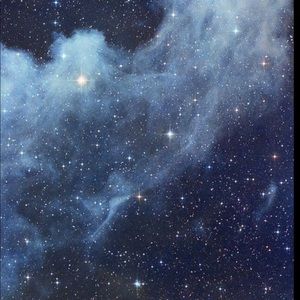 Meet your Posher, Avery